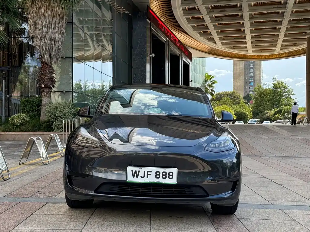 Tesla Model Y — миниатюра 2
