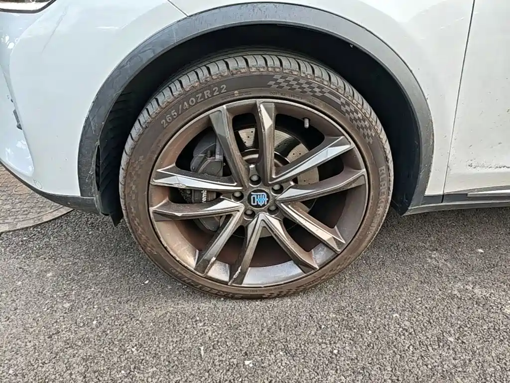 BYD Tang New Energy — миниатюра 23