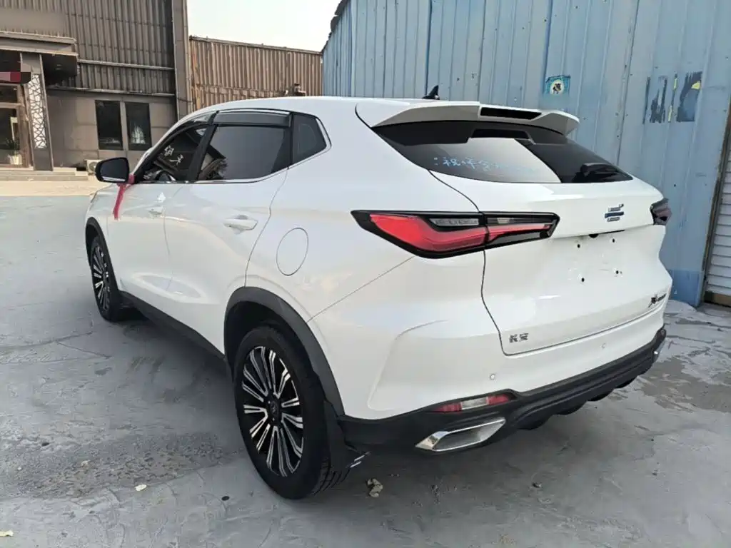 Oshan Oushang X5 — миниатюра 5