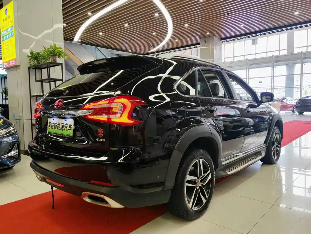 BYD Tang New Energy — миниатюра 6