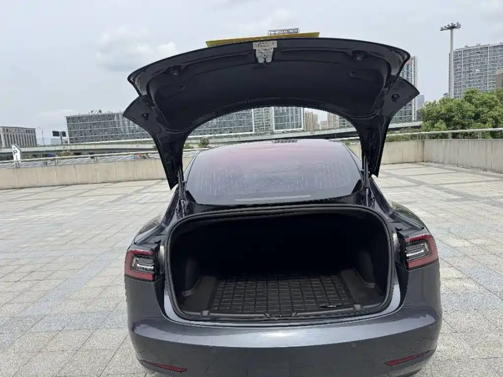 Tesla Model 3 — миниатюра 13