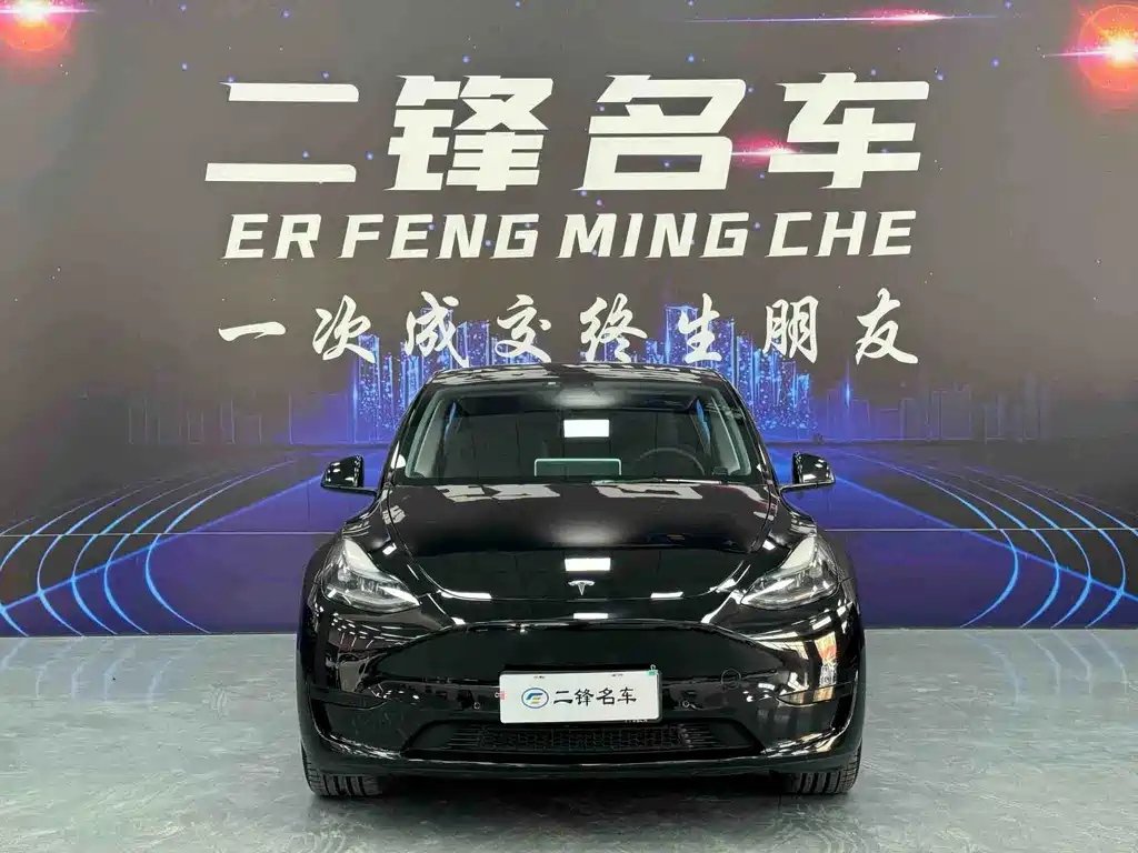 Tesla Model Y — миниатюра 2