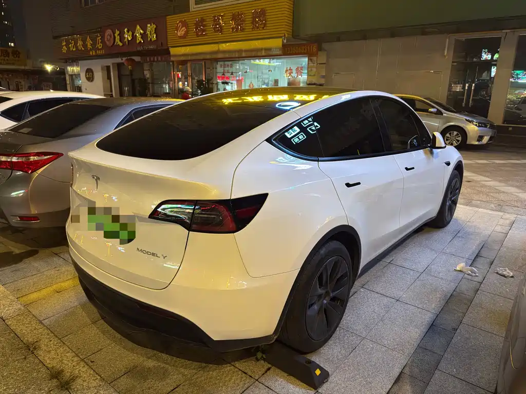 Tesla Model Y — миниатюра 2