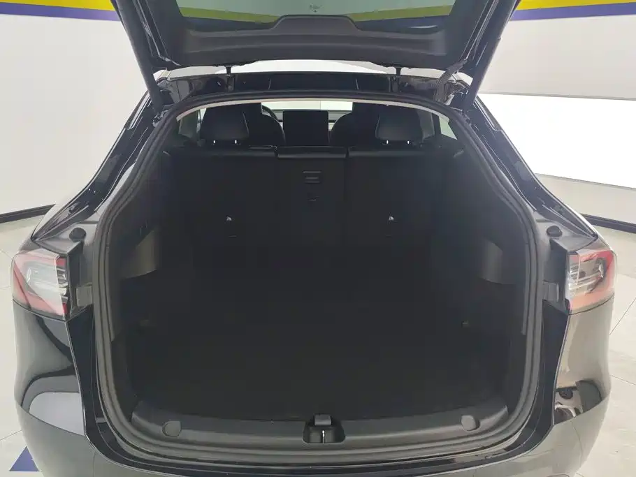 Tesla Model Y — миниатюра 4