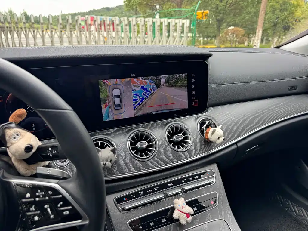 Mercedes-Benz CLS — миниатюра 15