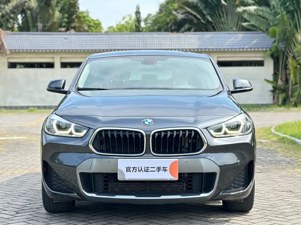 BMW X2 — миниатюра 2