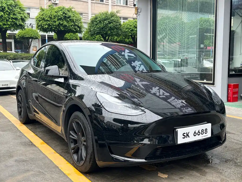 Tesla Model Y — миниатюра 3