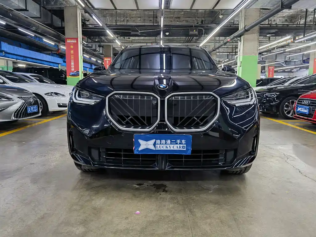 BMW X3 — миниатюра 2