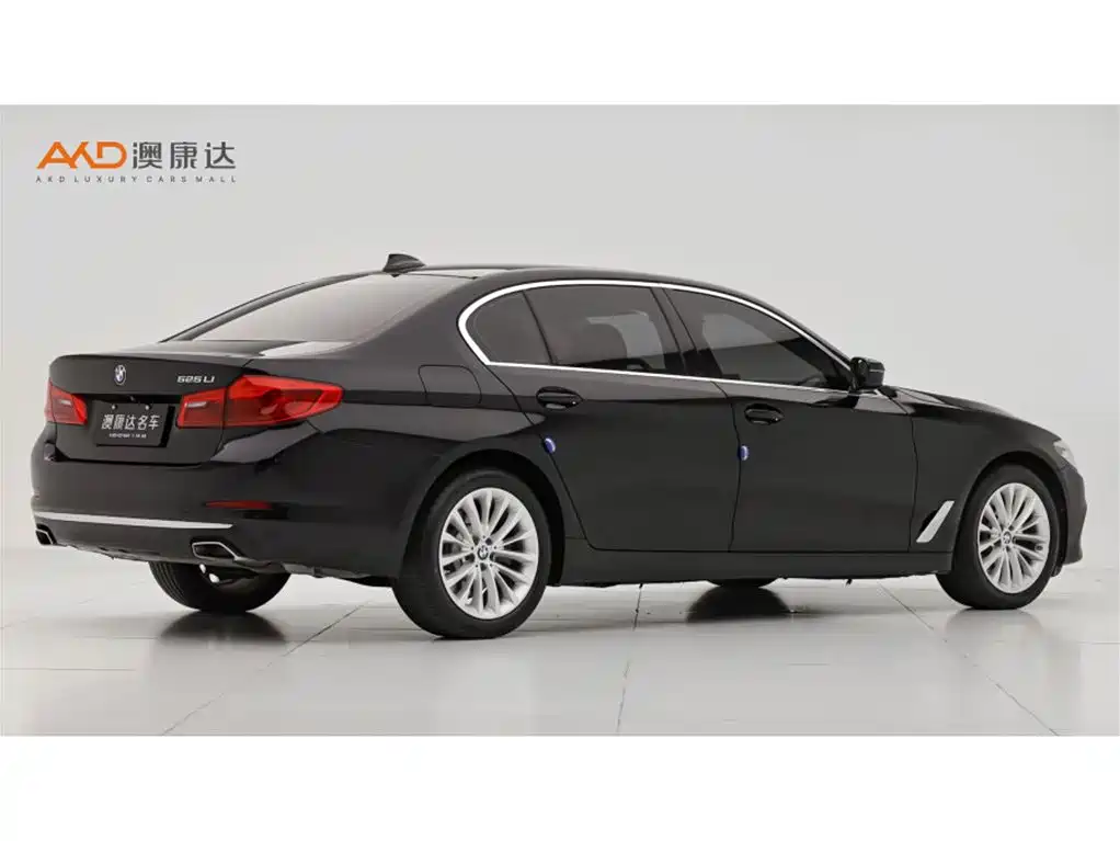 BMW 5 Series — миниатюра 3