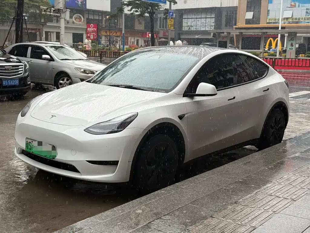 Tesla Model Y — миниатюра 4