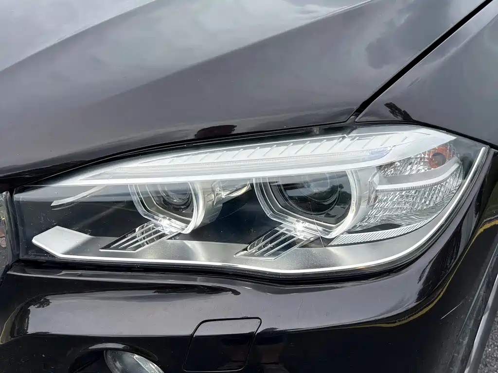 BMW X5 (Import) — миниатюра 10