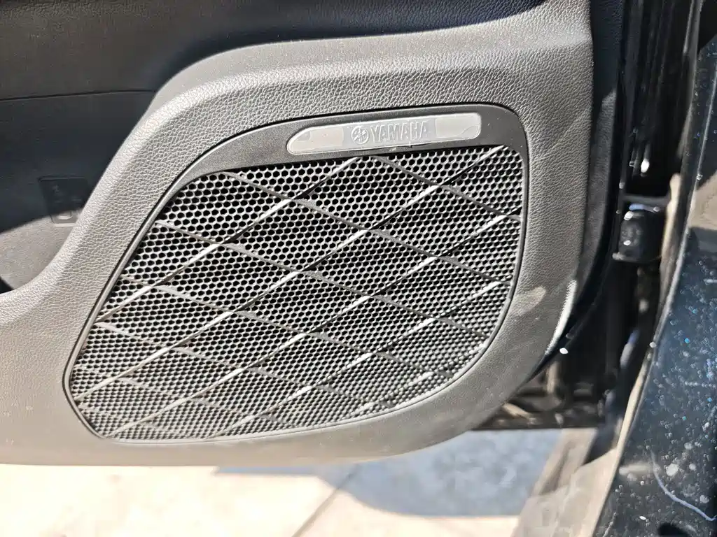 GAC Motor Shadow Leopard — миниатюра 11