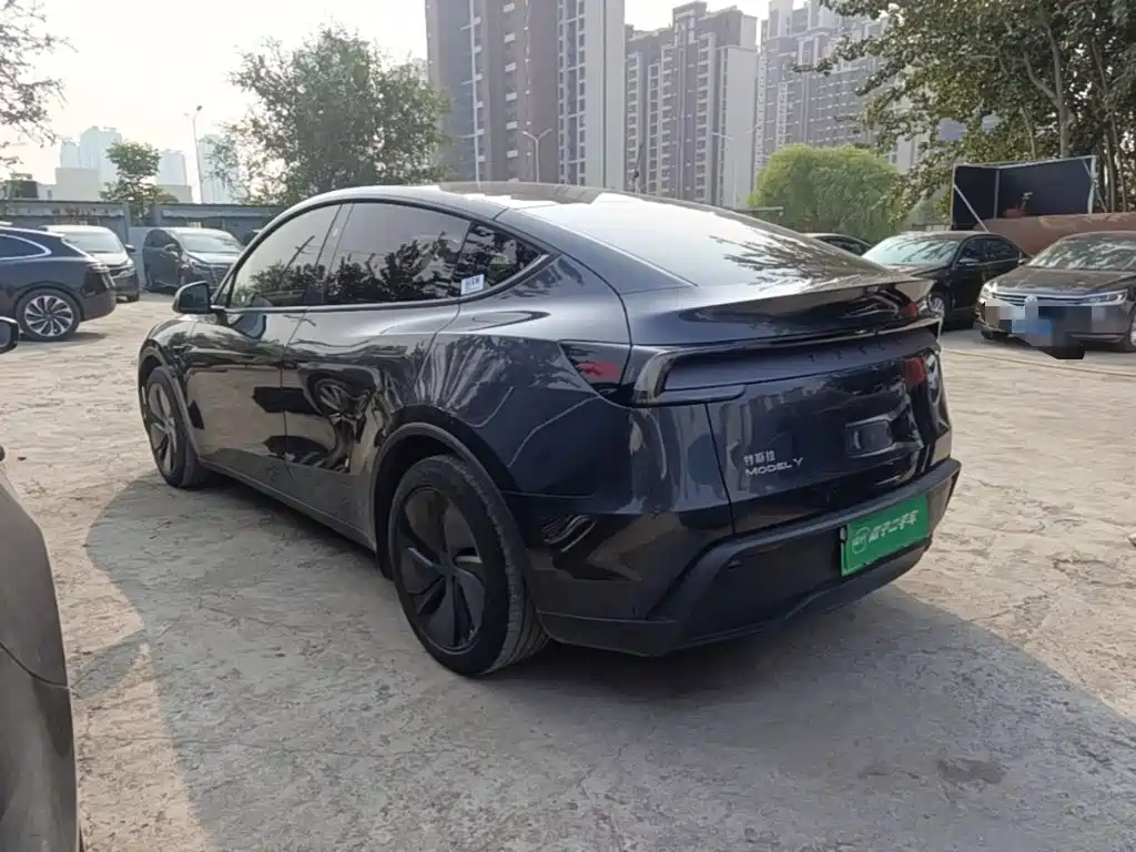 Tesla Model Y — миниатюра 5