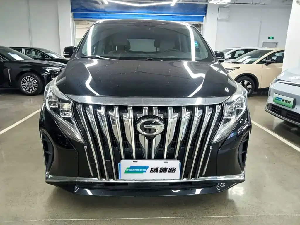 GAC Motor Trumpchi M8 — миниатюра 2