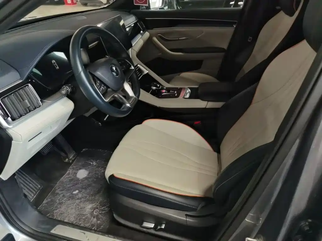 BYD PLUS New Energy — миниатюра 15