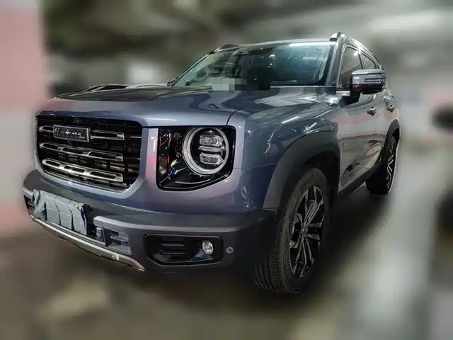 2021 Haval Big Dog