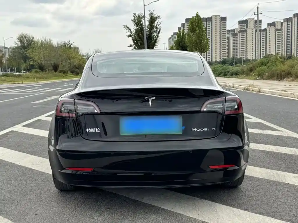Tesla Model 3 — миниатюра 17