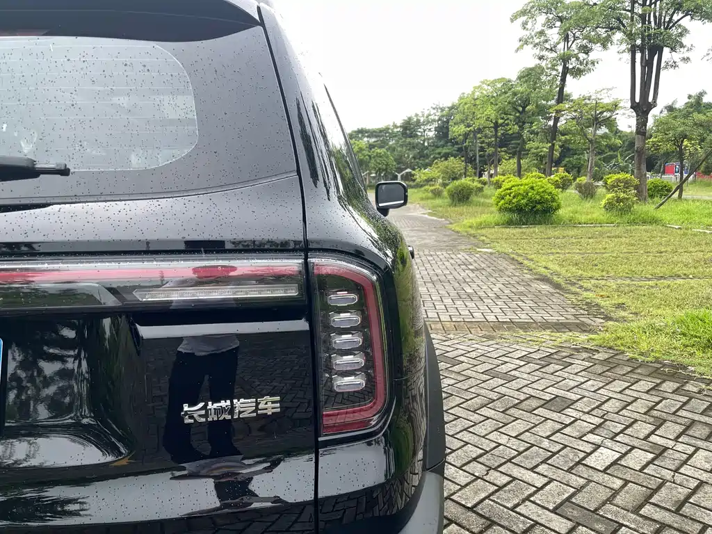 Haval Big Dog — миниатюра 24