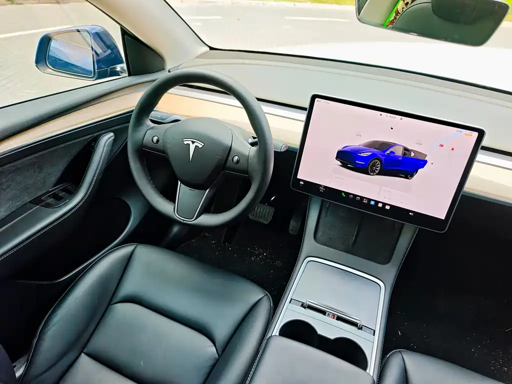 Tesla Model Y — миниатюра 10