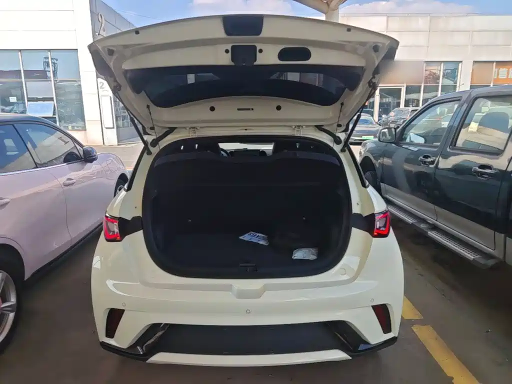 BYD Dolphin — миниатюра 19
