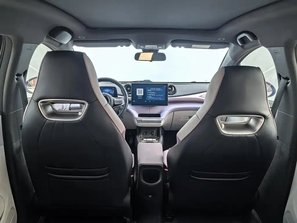 BYD Dolphin — миниатюра 13