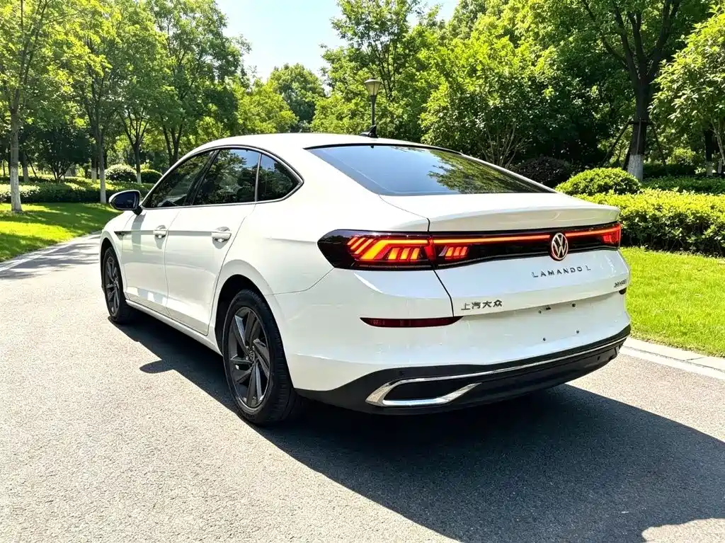 Volkswagen Lamando — миниатюра 3