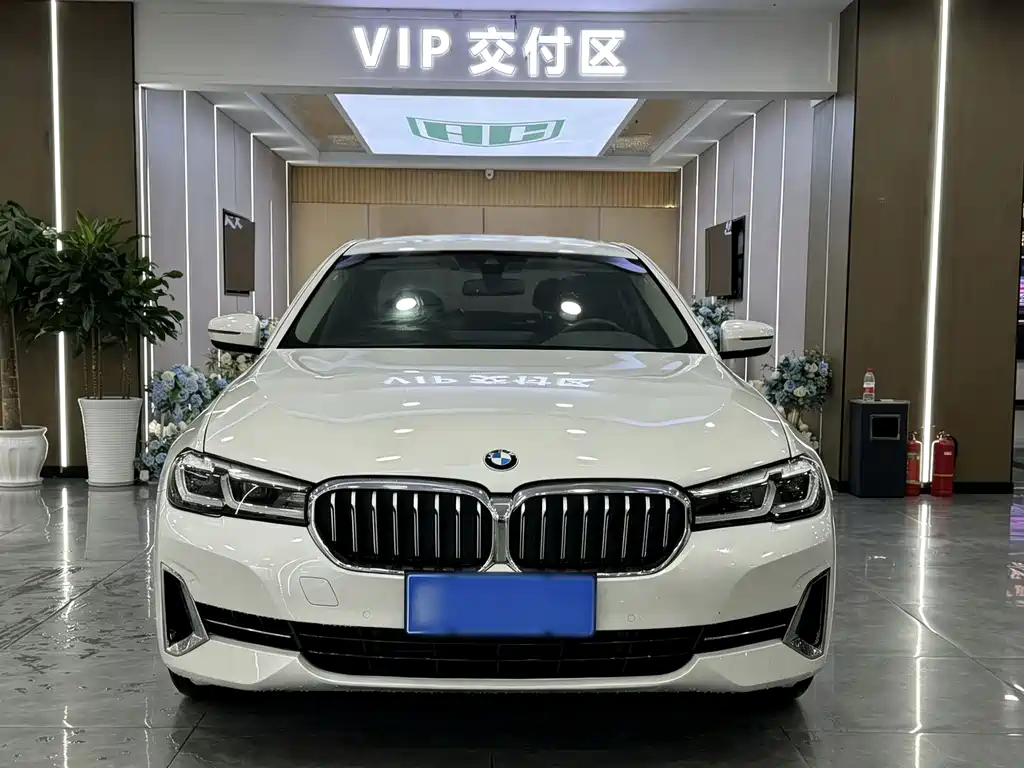 BMW 5 Series — миниатюра 2