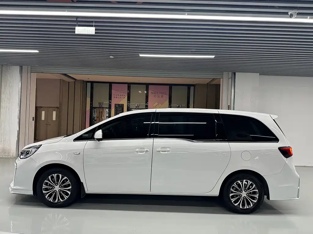 Buick GL8 — миниатюра 6