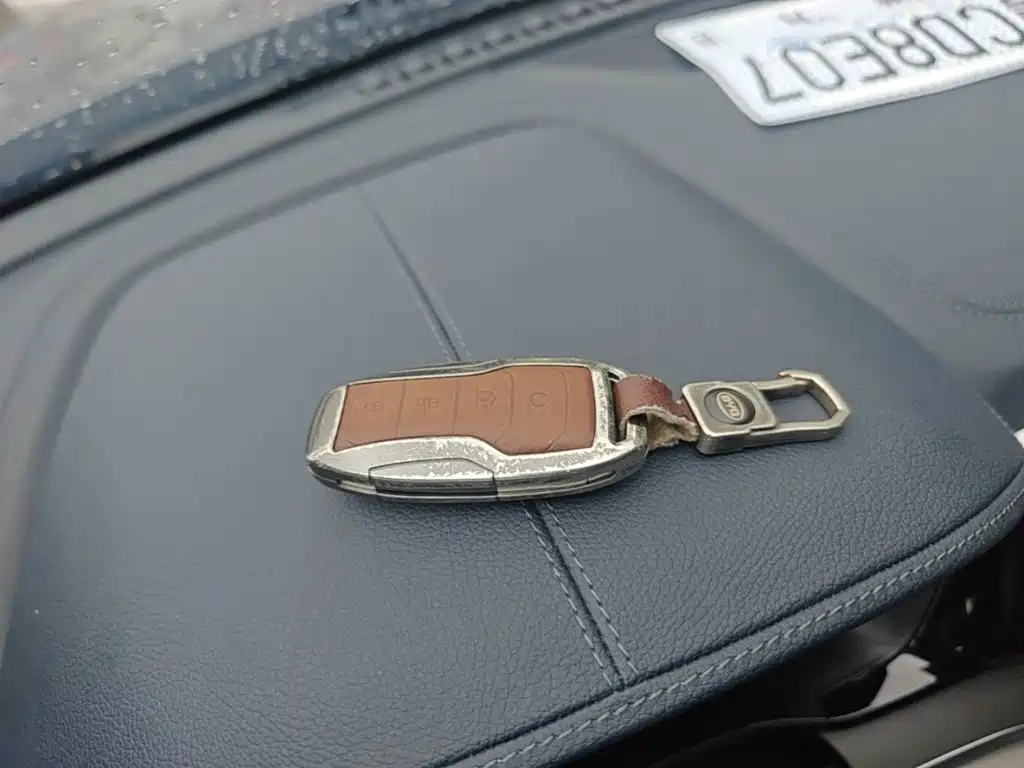 BYD PLUS New Energy — миниатюра 9