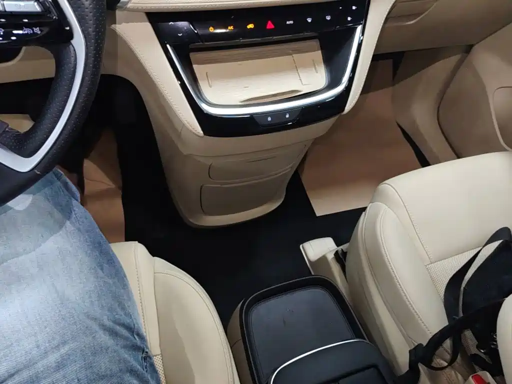 Buick GL8 Hybrid — миниатюра 14