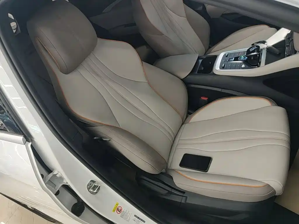 BYD Pro New Energy — миниатюра 25