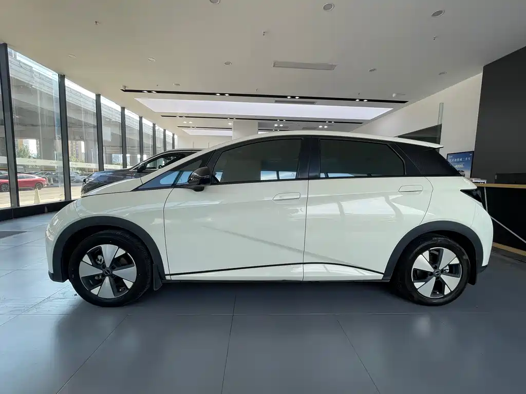 BYD Dolphin — миниатюра 4