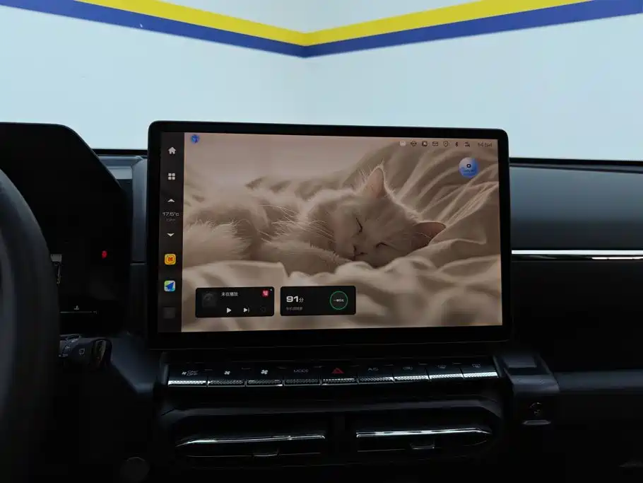 Haval Big Dog PLUS — миниатюра 13