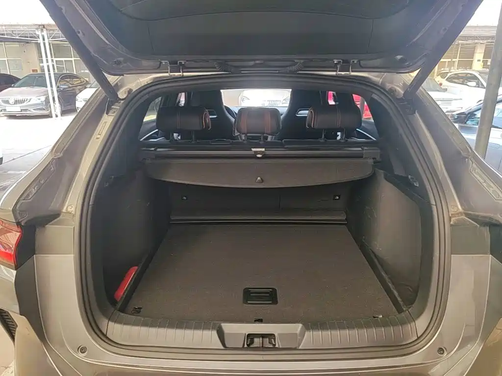 BYD PLUS New Energy — миниатюра 19