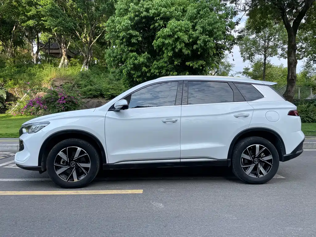 BYD Pro New Energy — миниатюра 4