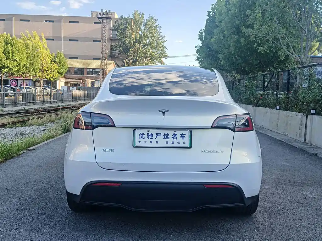 Tesla Model Y — миниатюра 7