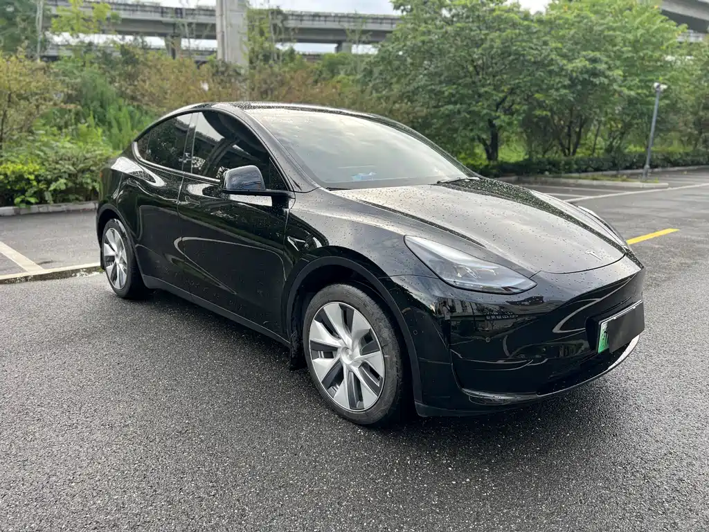 Tesla Model Y — миниатюра 3