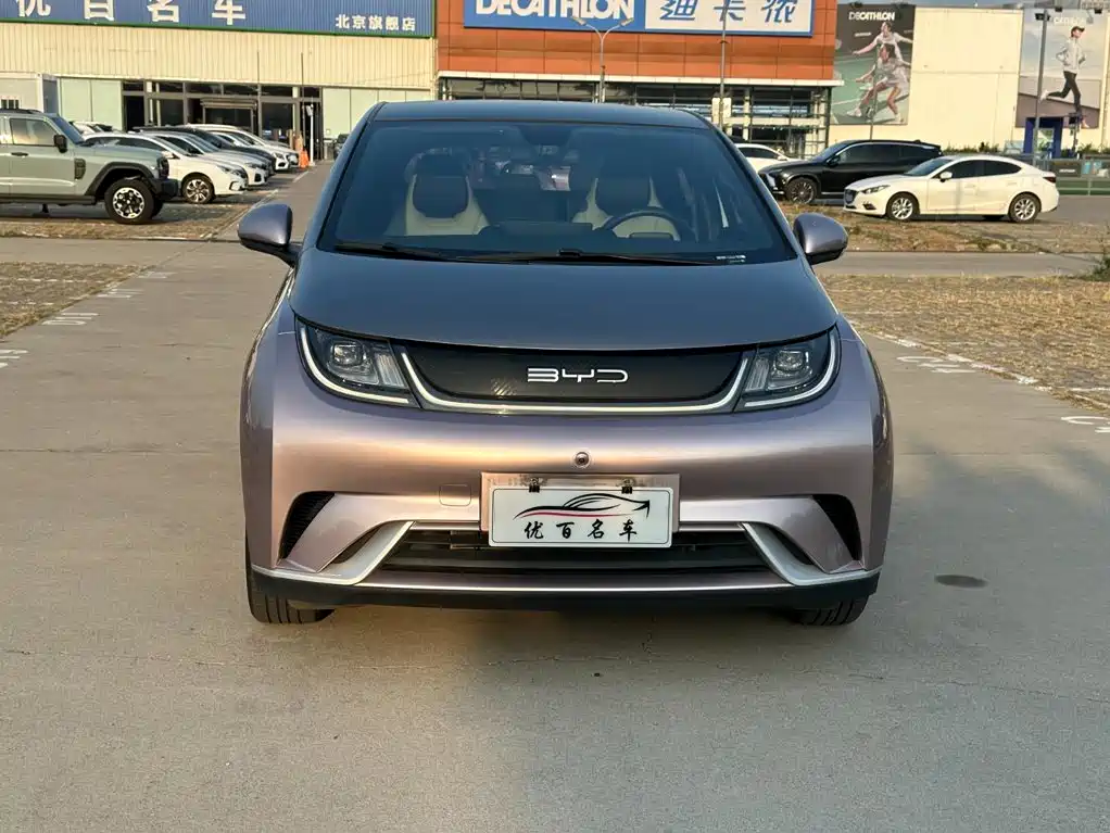 BYD Dolphin — миниатюра 12