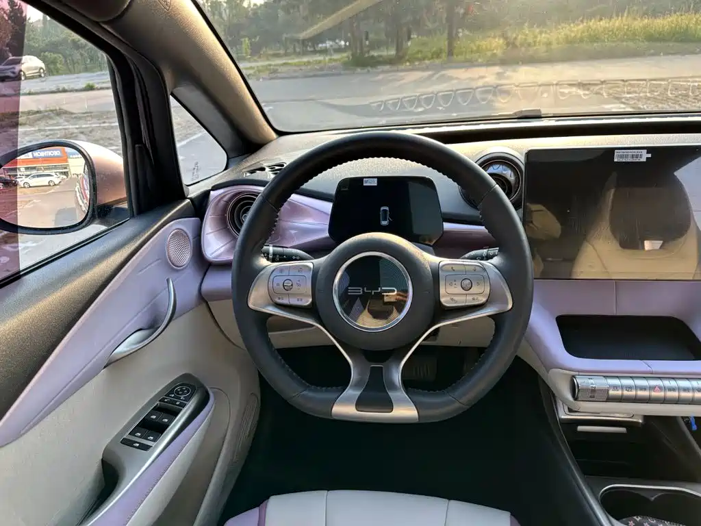 BYD Dolphin — миниатюра 19