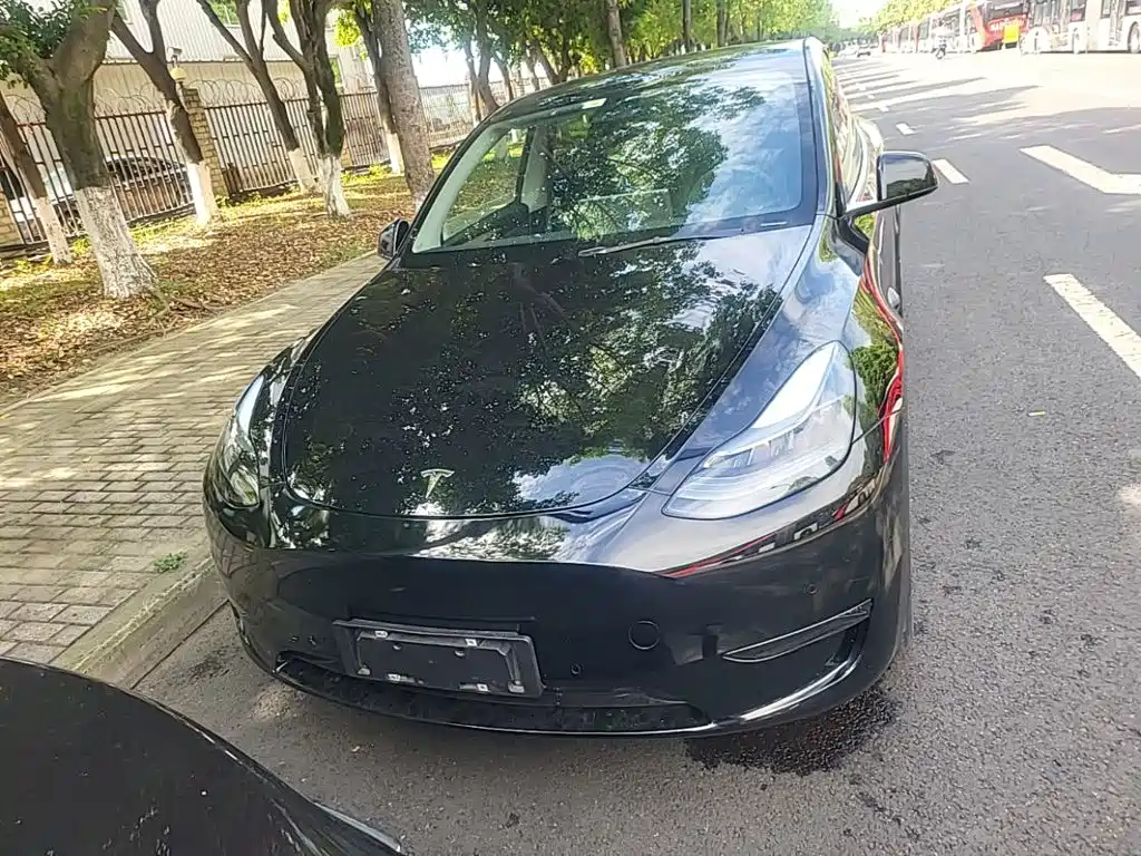 Tesla Model Y — миниатюра 3