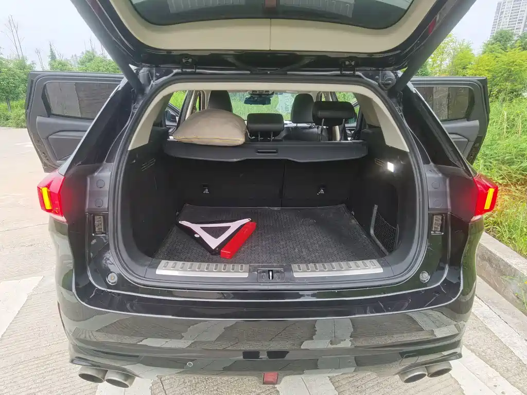Wey Wey VV6 — миниатюра 15