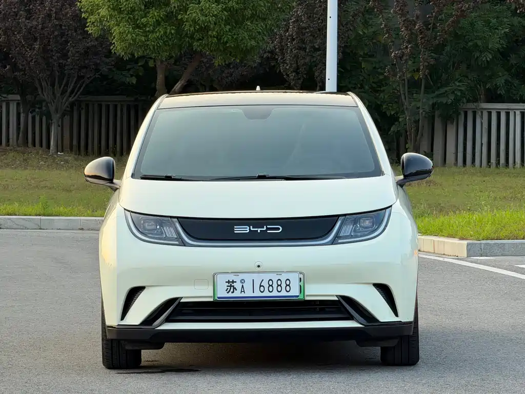 BYD Dolphin — миниатюра 2