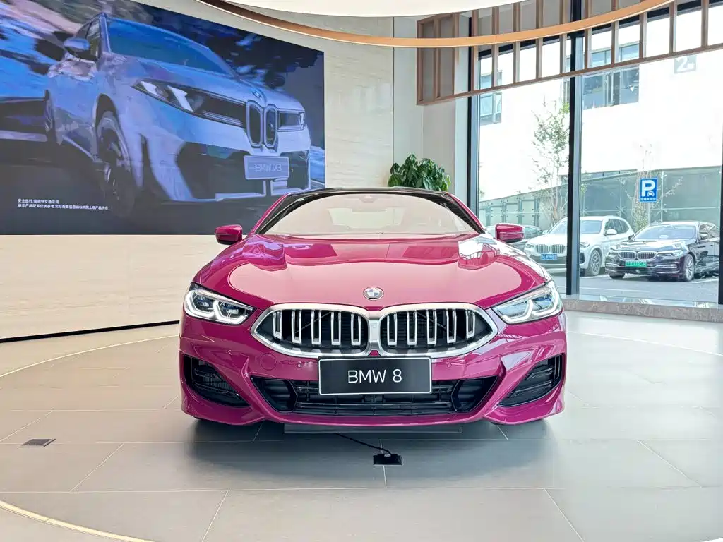 BMW 8 Series — миниатюра 11