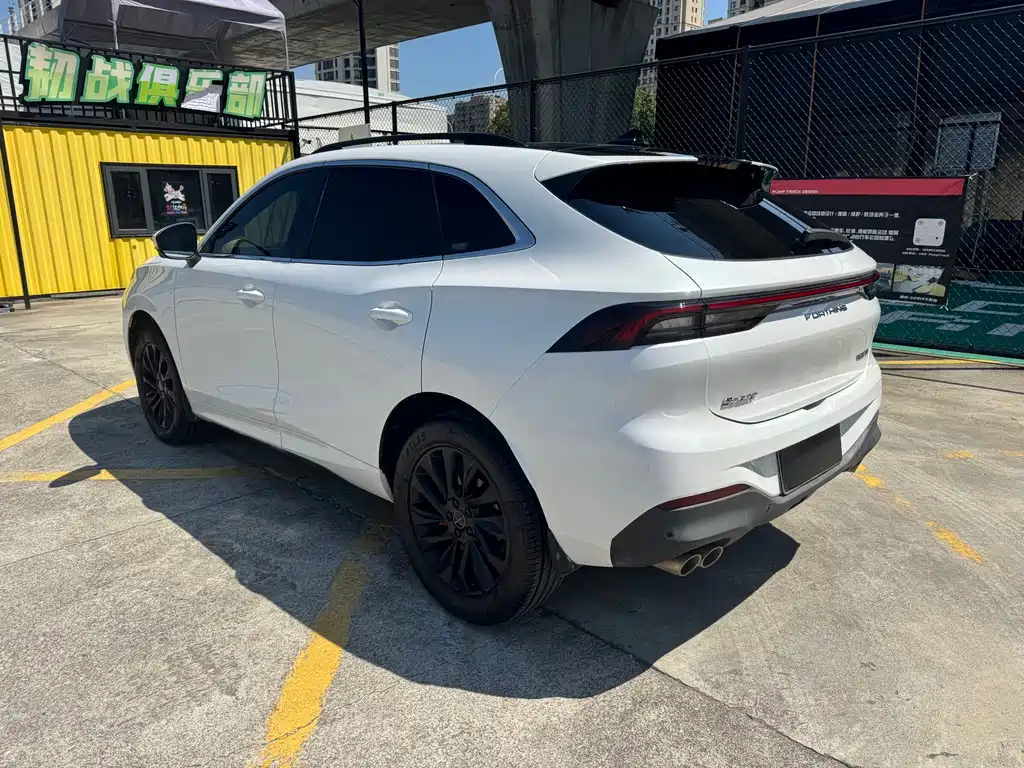 Fengxing Fengxing T5 EVO — миниатюра 12