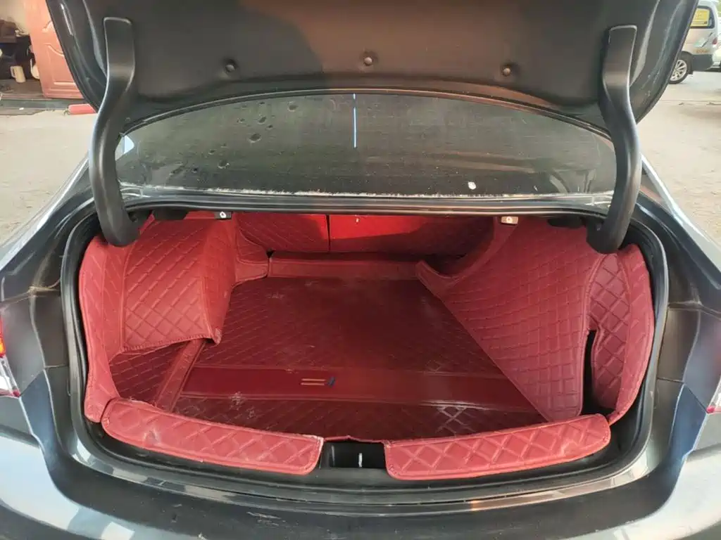 Buick Regal — миниатюра 19