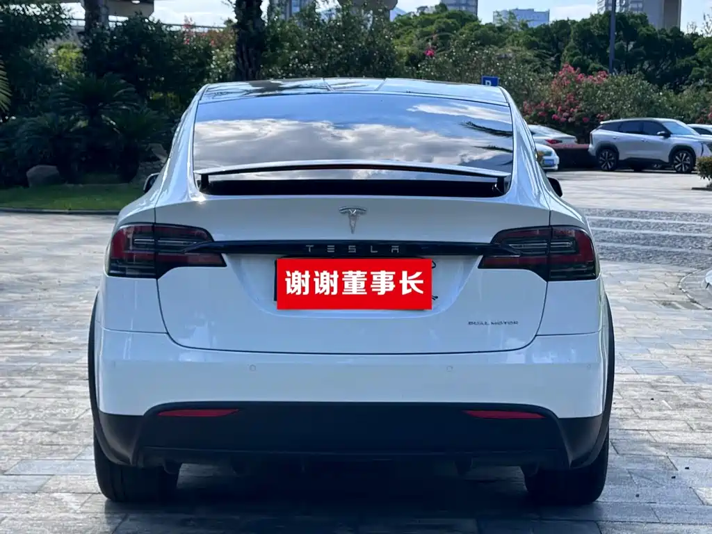 Tesla Model X — миниатюра 7