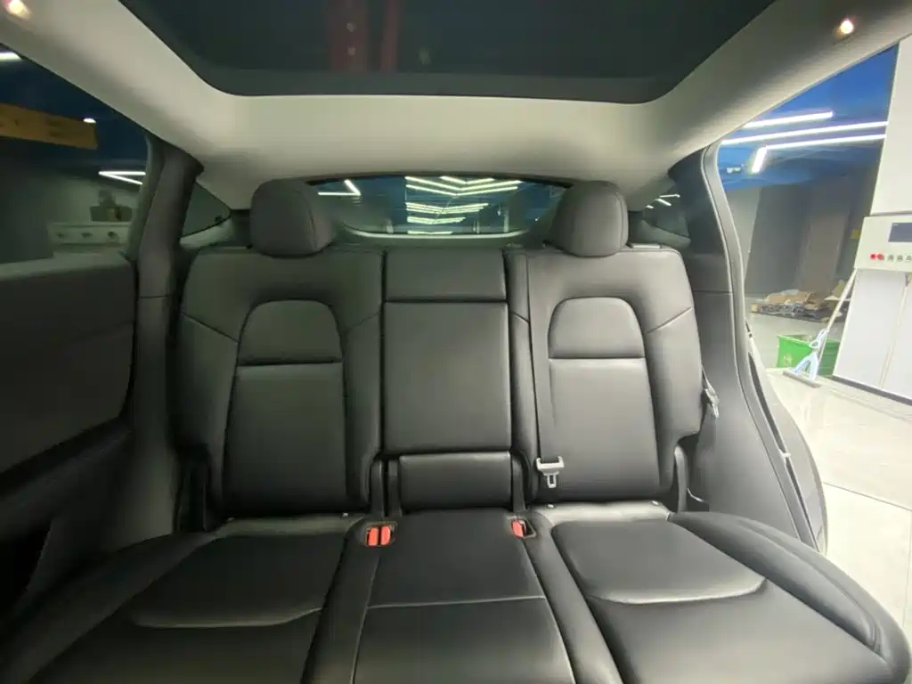 Tesla Model Y — миниатюра 24