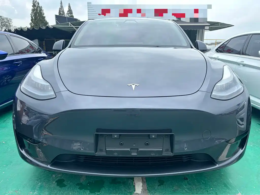 Tesla Model Y — миниатюра 2