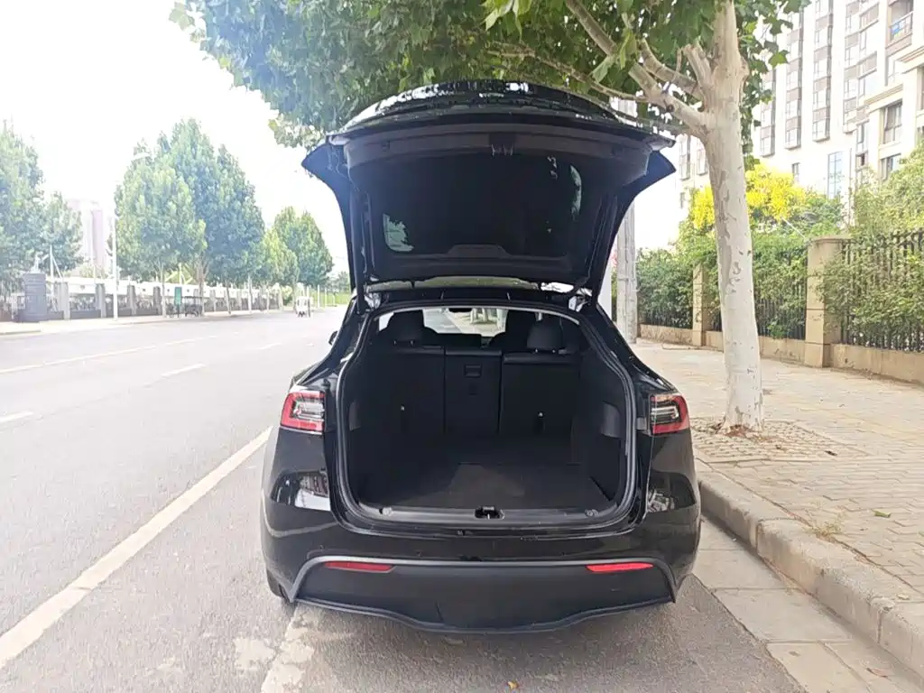 Tesla Model Y — миниатюра 19