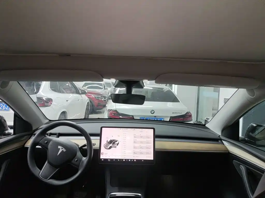 Tesla Model Y — миниатюра 18